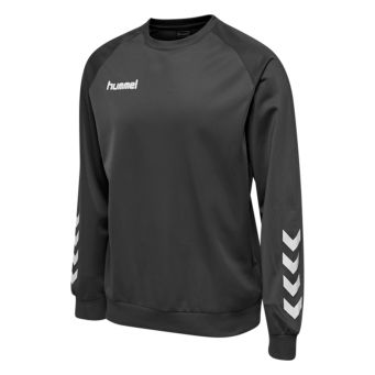 Men's Sport Sweatshirt