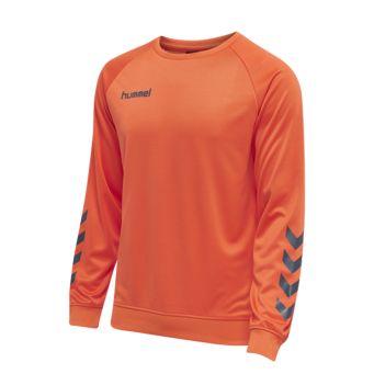 Men's Sport Sweatshirt