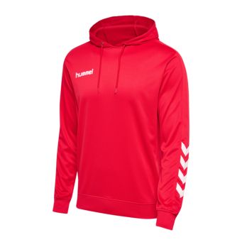 Men's Sport Sweatshirt