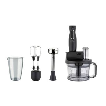 Plunge blender