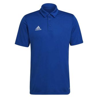 Men's T-Shirt and Sports Polo Shirt